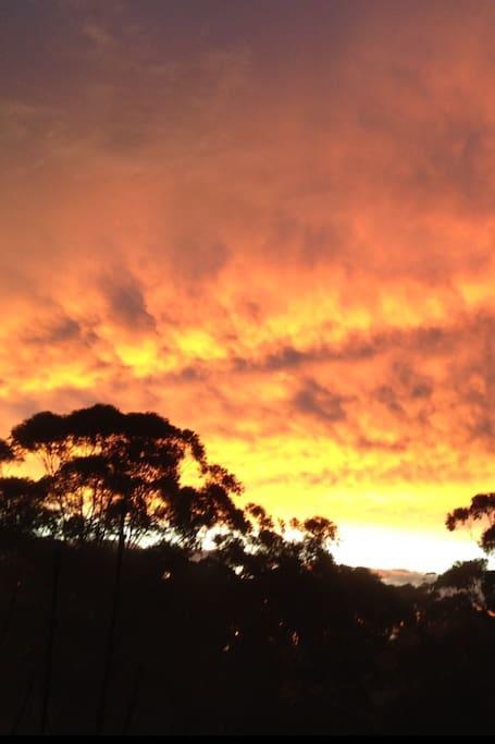 Avoca Beach And Bush Екстериор снимка