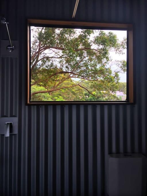 Avoca Beach And Bush Екстериор снимка
