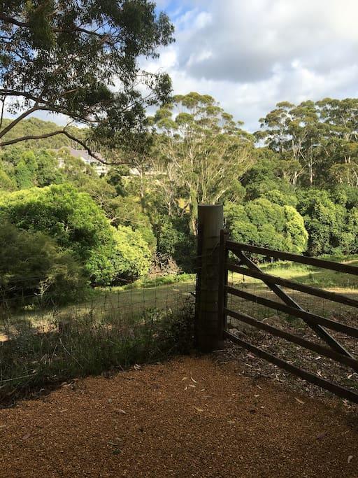 Avoca Beach And Bush Екстериор снимка