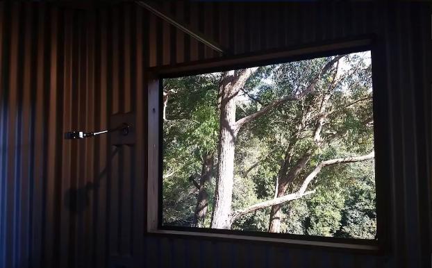 Avoca Beach And Bush Екстериор снимка